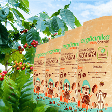 Load image into Gallery viewer, 4-Pack: Café Orgánico Villa Rica x 250 gr.