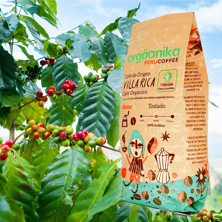 Villa Rica Organic Coffee x 250 gr. - Grain